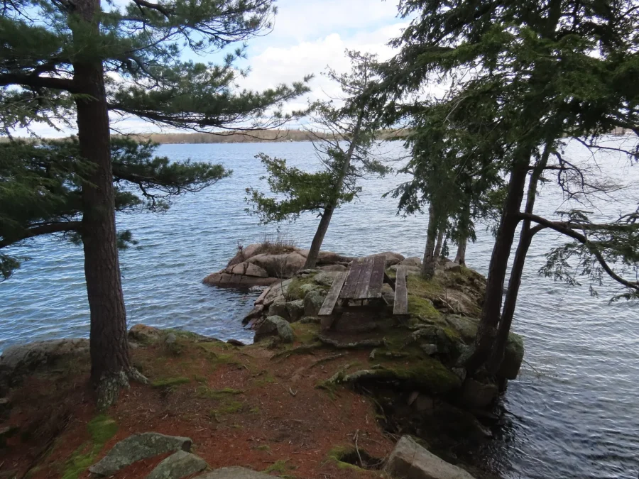 Wellesley Island State Park 143 Pines and a rocky point on the St. Lawrence River at Wellesley Island State Park, New York