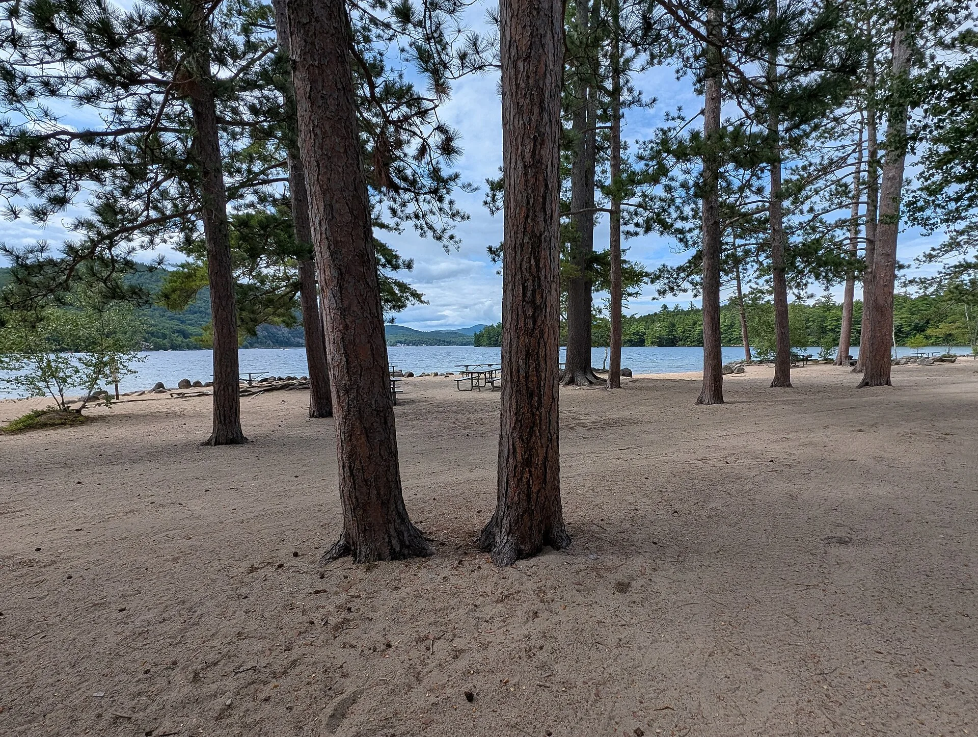 Wellington State Park