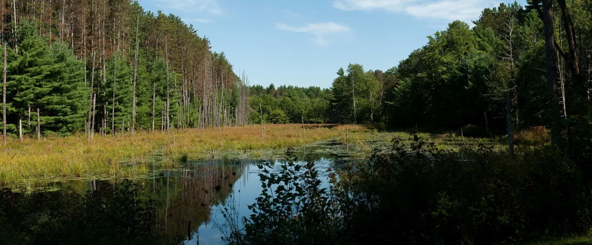Wells State Park (Massachusetts)
