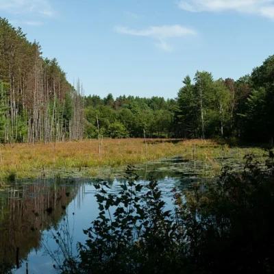 Wells State Park