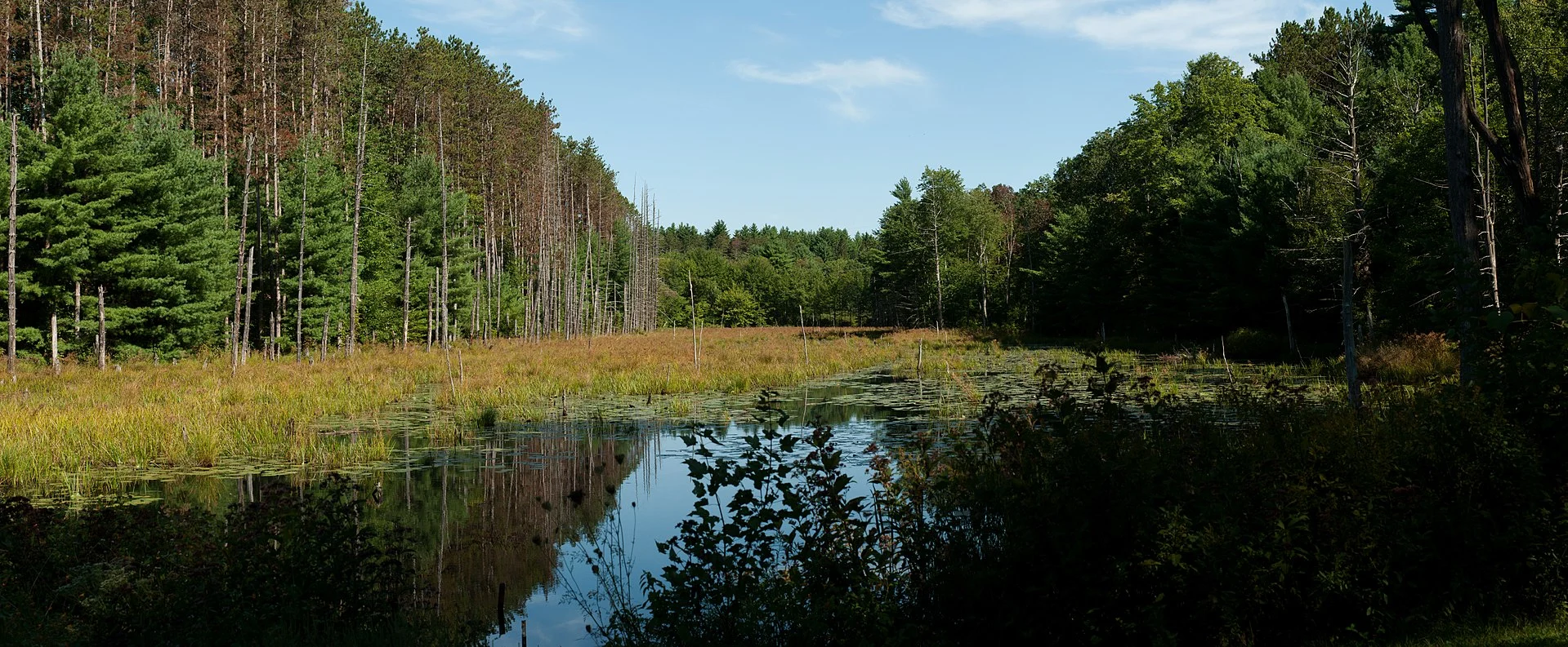 Wells State Park