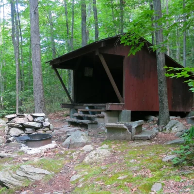 Wendell State Forest