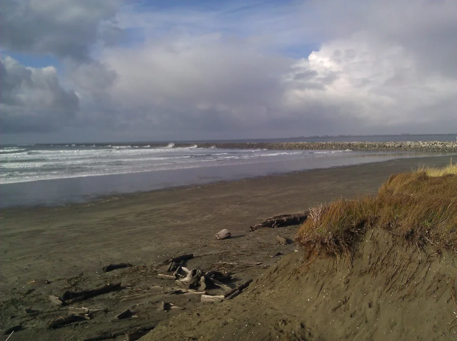 Westhaven State Park 150 Westhaven State Park (Washington)