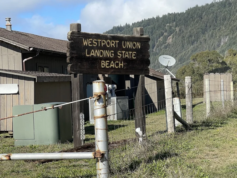 Westport-Union Landing State Beach (California)