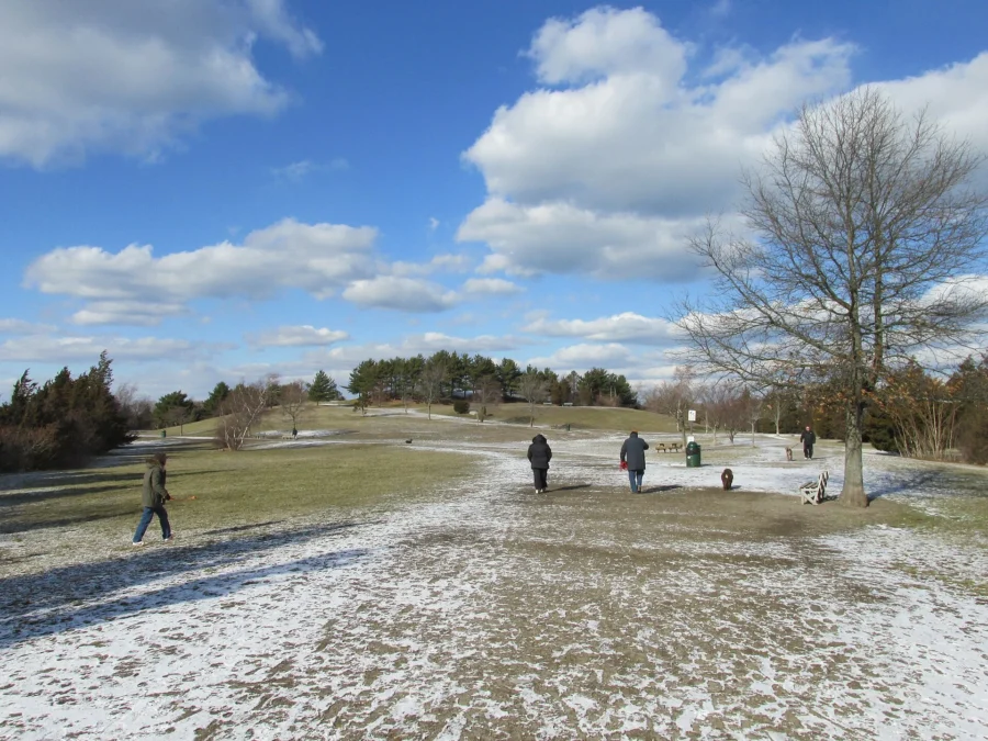Weymouth Back River Reservation (Massachusetts)