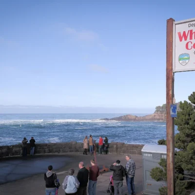 Whale Watching Center