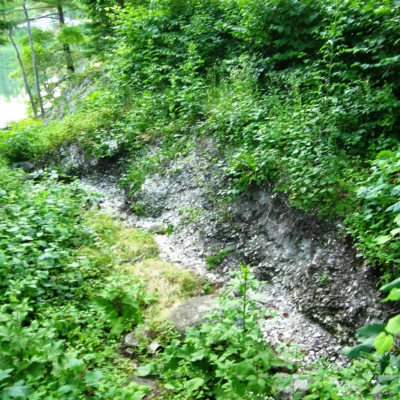 Whaleback Shell Midden