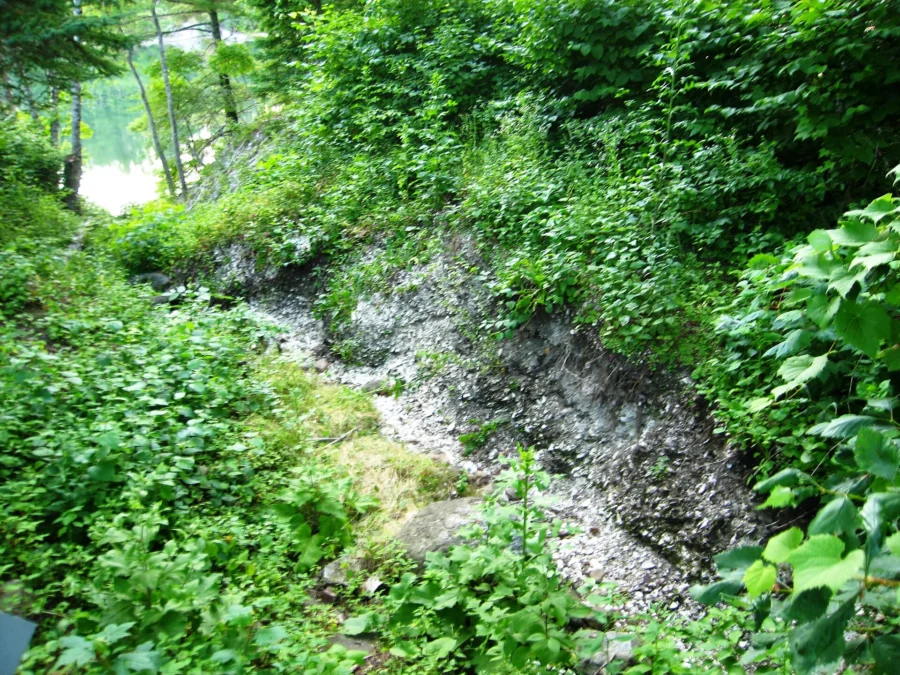 Whaleback Shell Midden (Maine)