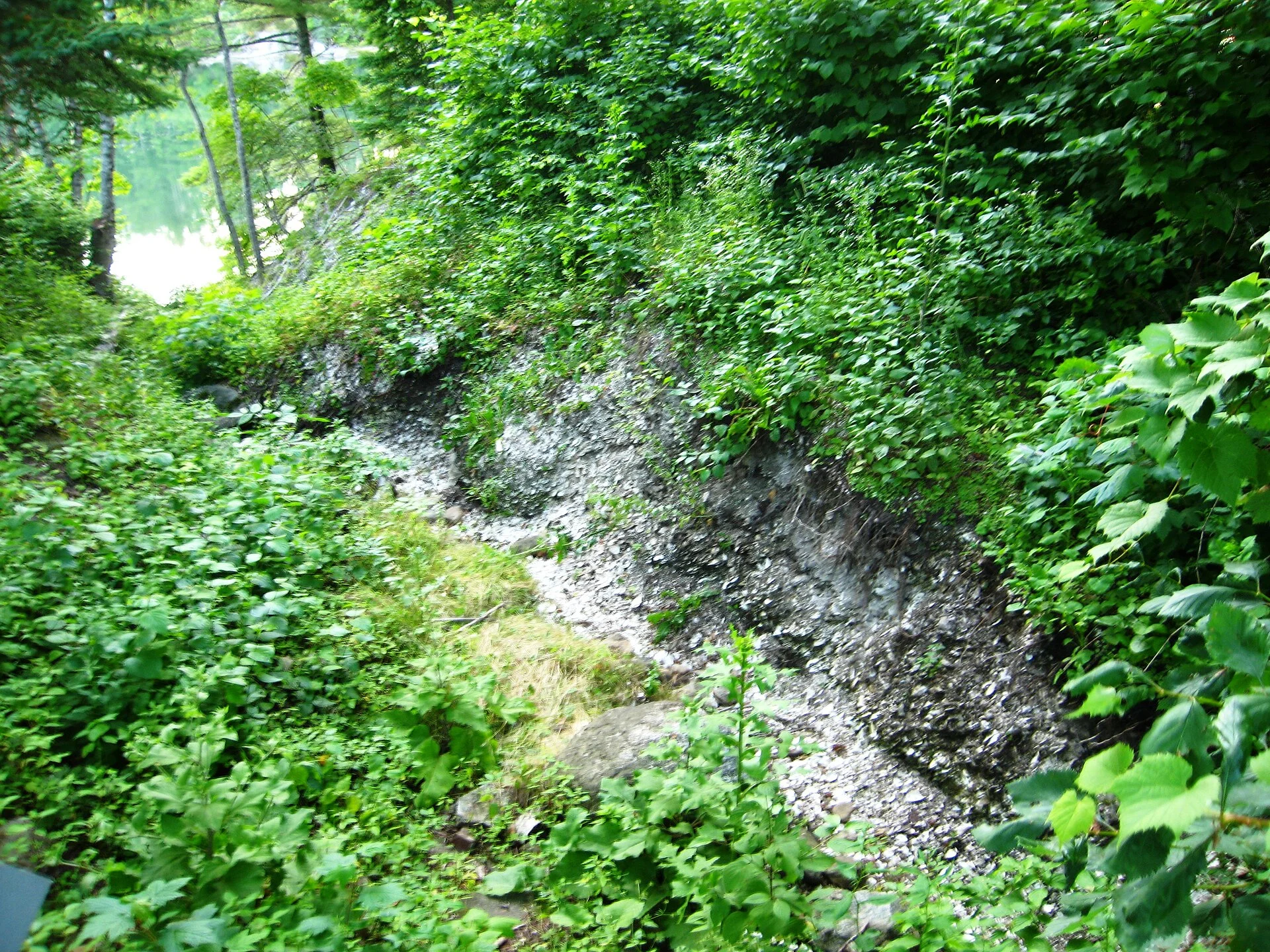 Whaleback Shell Midden