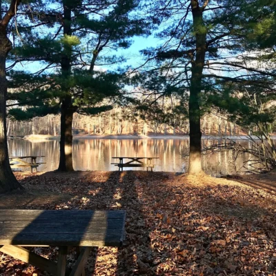 Wharton Brook State Park