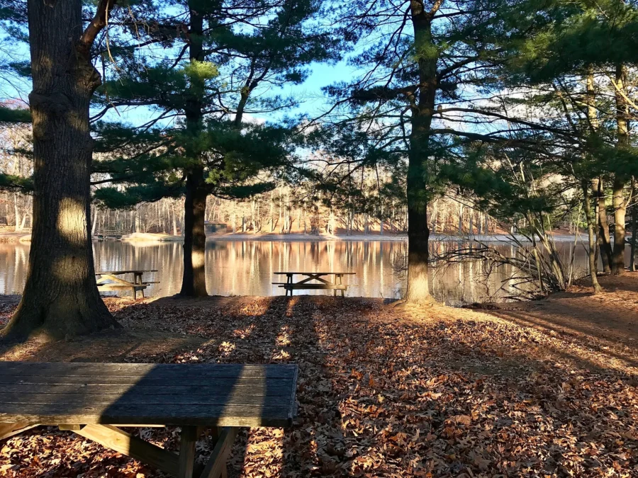 Wharton Brook State Park (Connecticut)