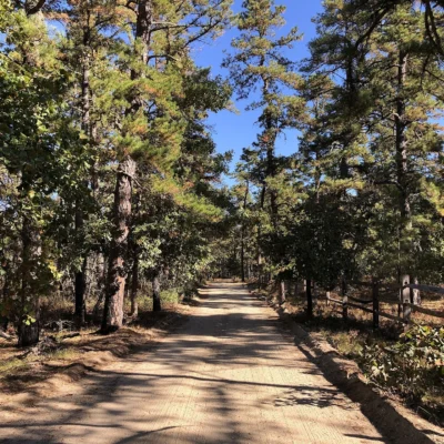 Wharton State Forest