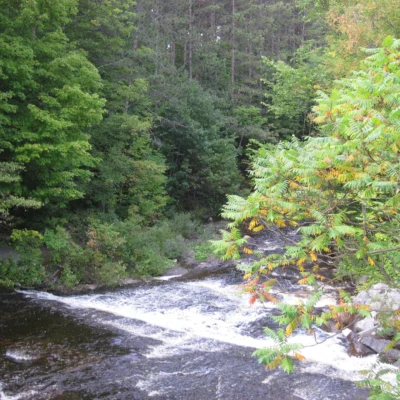 Whetstone Gulf State Park