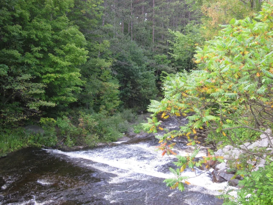 Whetstone Gulf State Park (New York)
