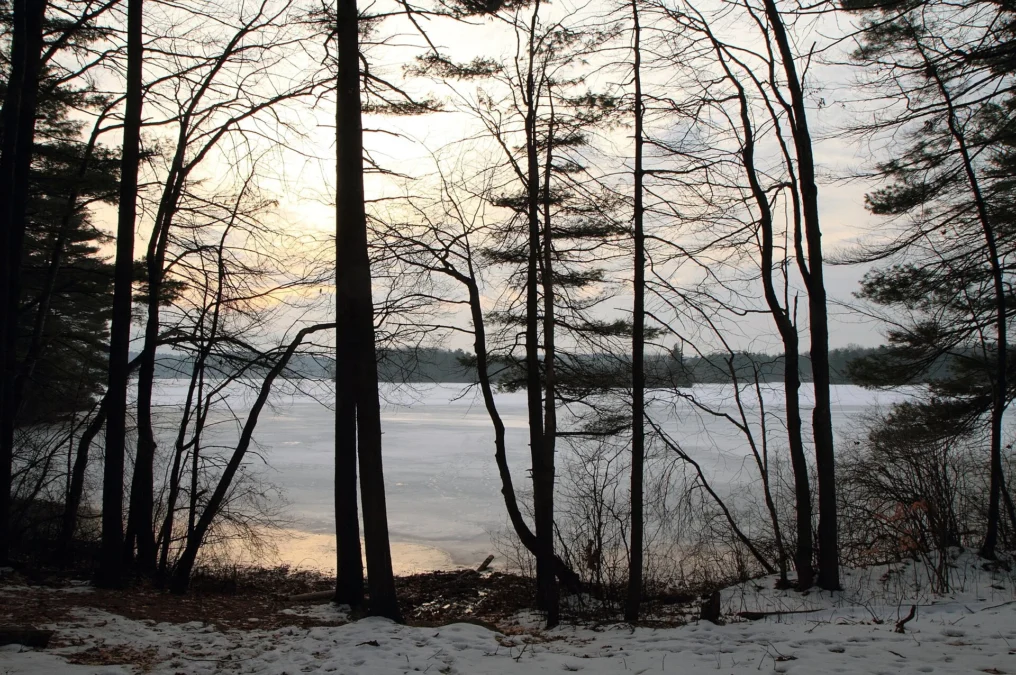 Whitehall State Park (Massachusetts)