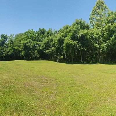 Wickliffe Mounds State Historic Site