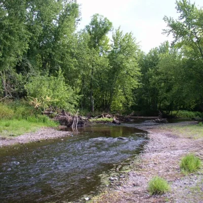 Wild River State Park