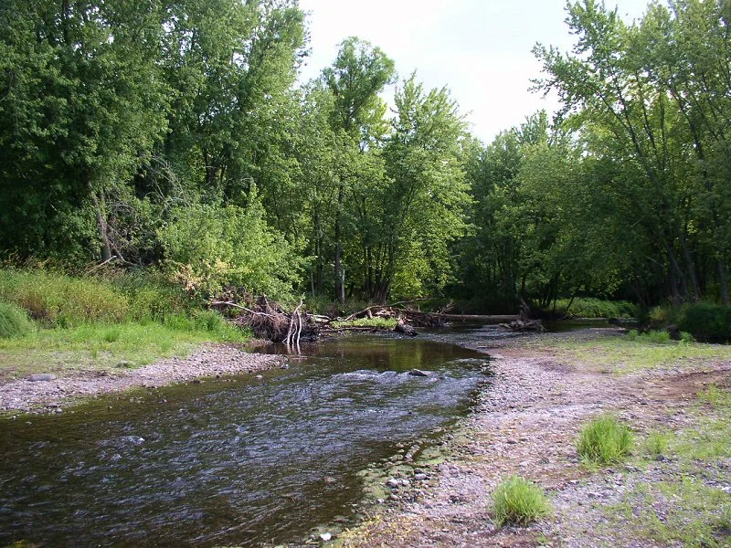 Wild River State Park 64 Wild River State Park (Minnesota)