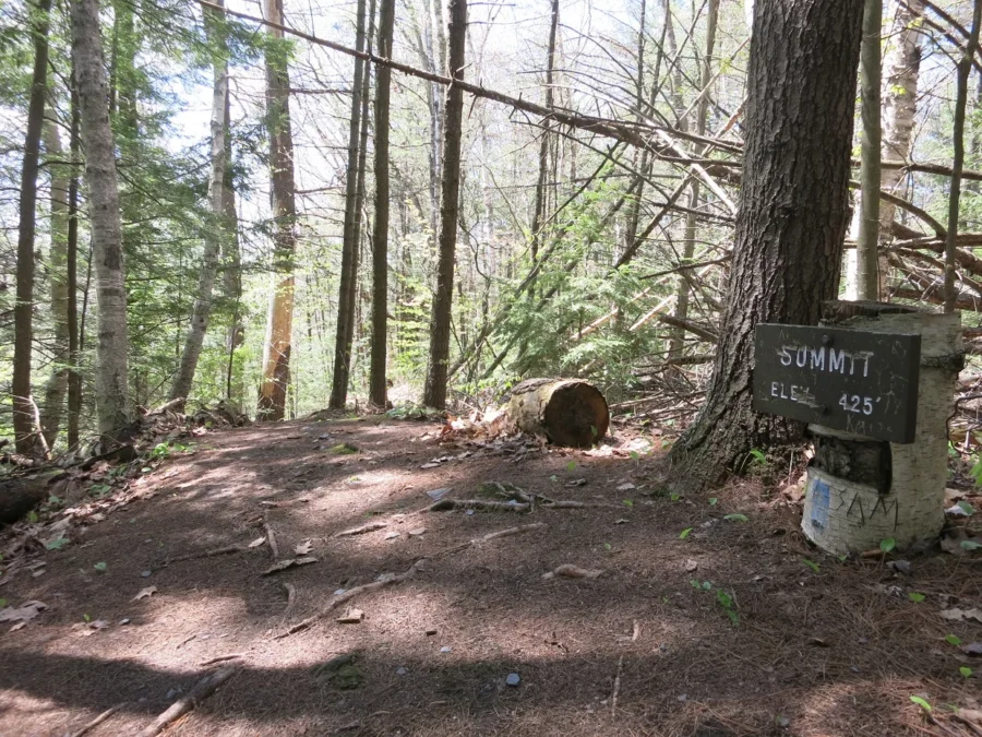 Wilgus State Park (Vermont)