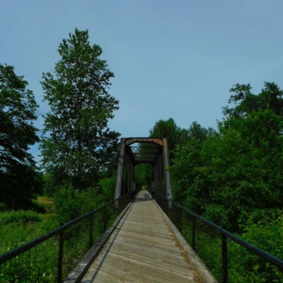 Willapa Hills