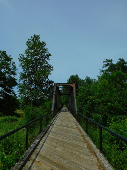 Willapa Hills (Washington)