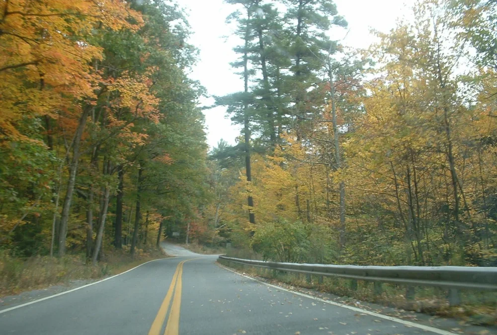 Willard Brook State Forest (Massachusetts)