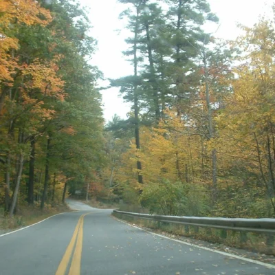 Willard Brook State Forest
