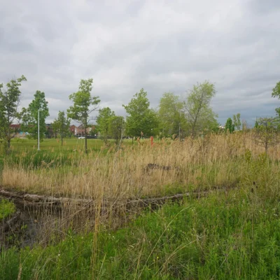 William G. Milliken State Park and Harbor