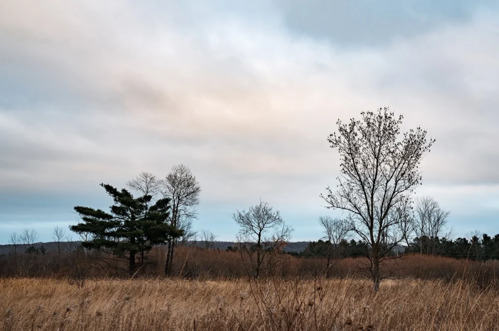 William OBrien State Park 66 William OBrien State Park (Minnesota)