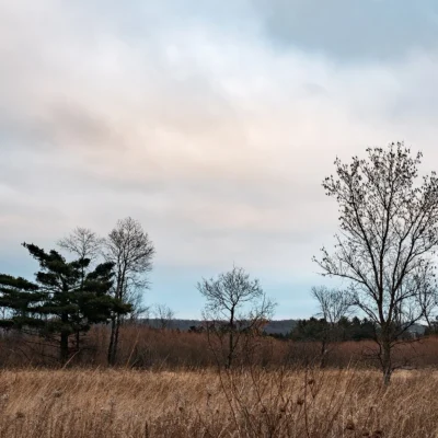 William OBrien State Park