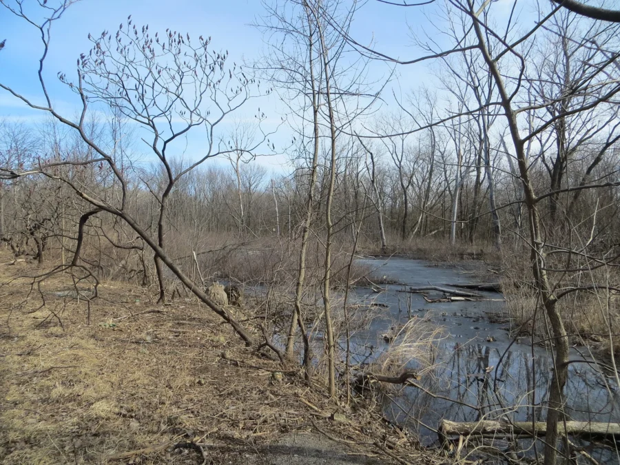 William W. Powers State Recreation Area (Illinois)