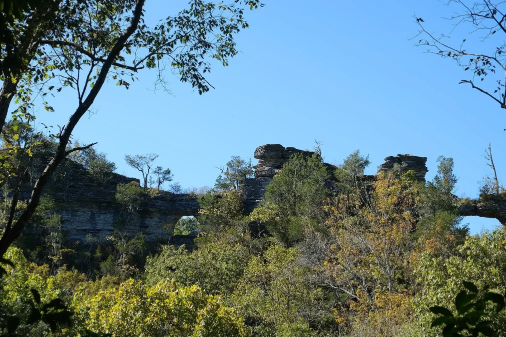 Window Cliffs State Natural Area (Tennessee)