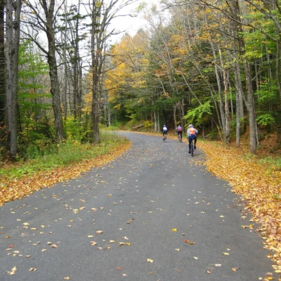 Windsor State Forest