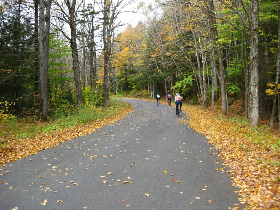 Windsor State Forest (Massachusetts)