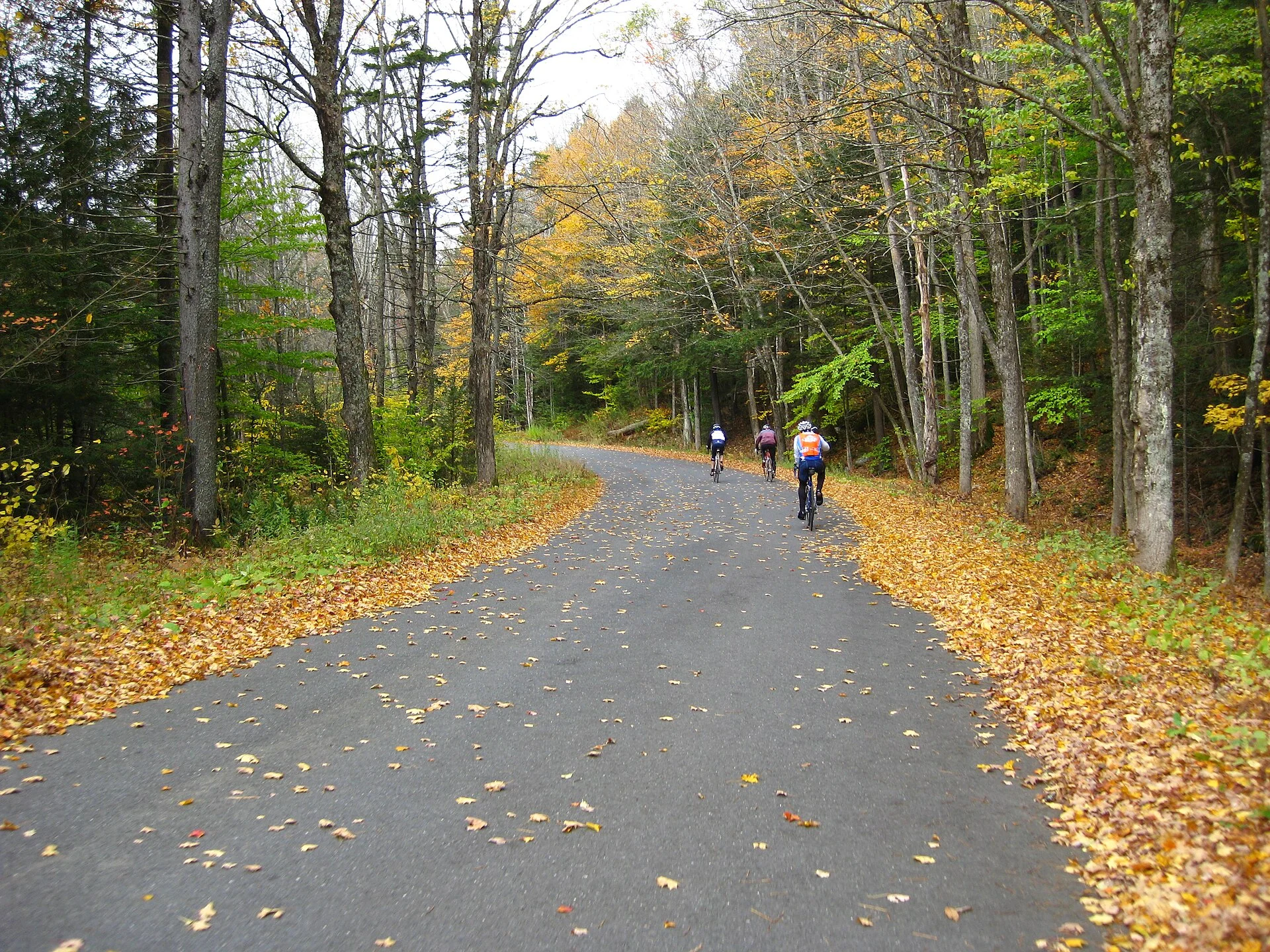 Windsor State Forest