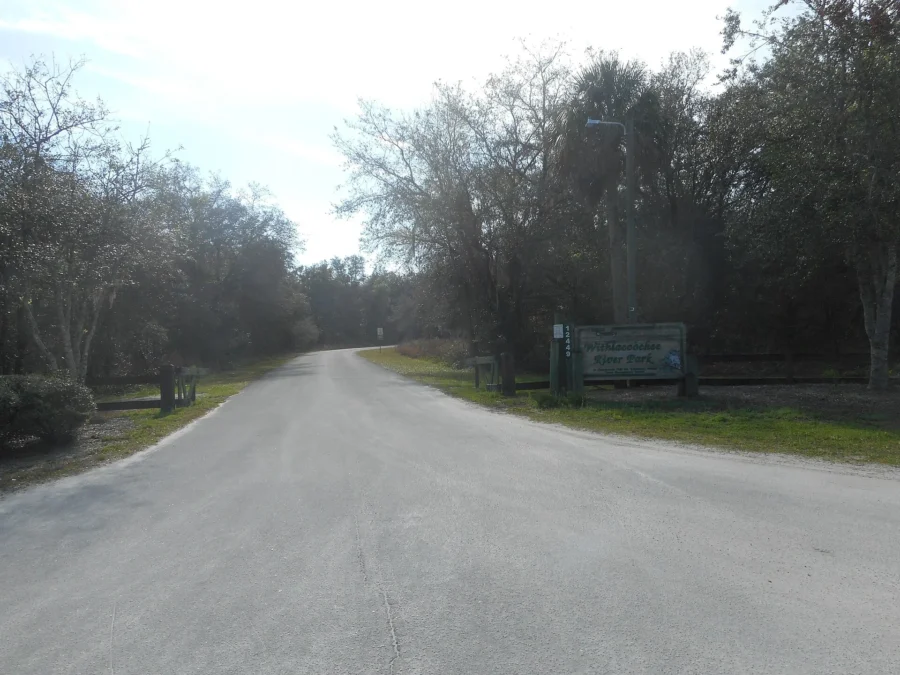 Withlacoochee River Park (Florida)