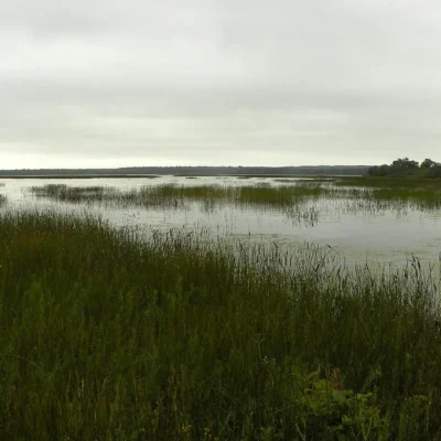 Worden Pond