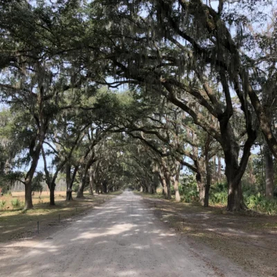 Wormsloe Historic Site