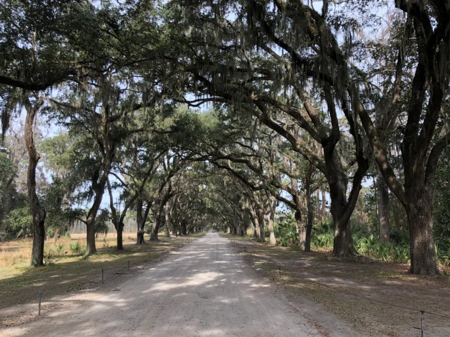 Wormsloe Historic Site (Georgia)
