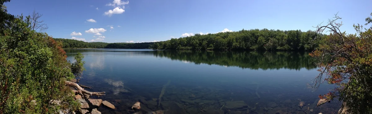 Worthington State Forest (New Jersey)