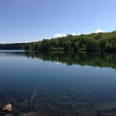 Worthington State Forest