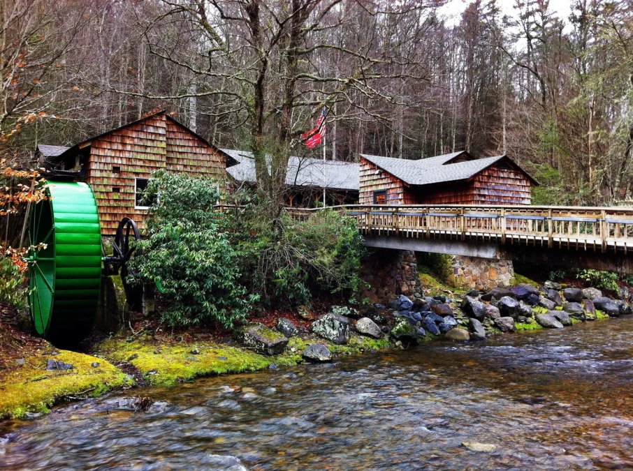 Yellow Mountain State Natural Area (North-Carolina)