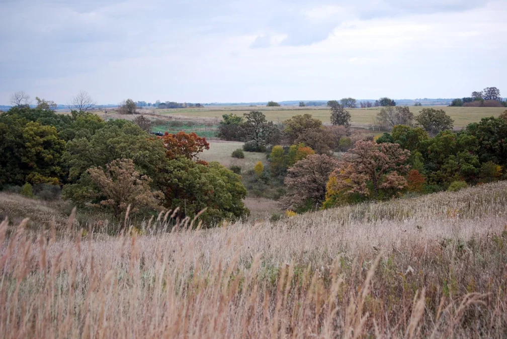 Yellowstone Lake State Park (Wisconsin)